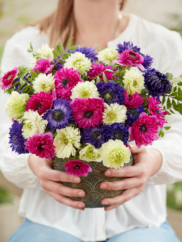 Kaufen Sie Anemone Crush On You Kollektion, Versand nach Deutschland im Herbst