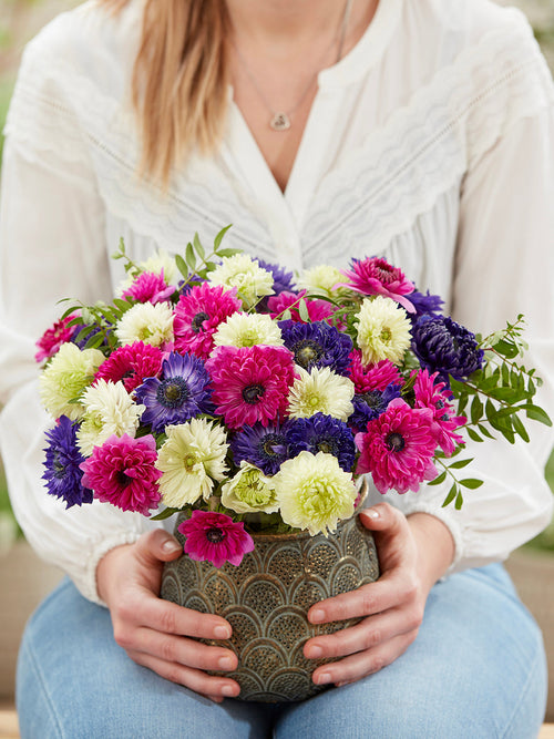 Kaufen Sie Anemone Crush On You Kollektion, Pflanzung im Herbst