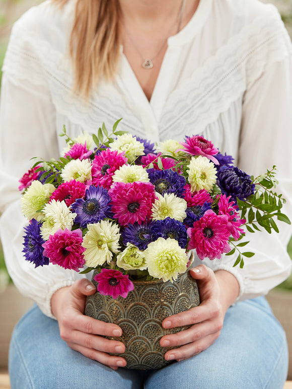 Kaufen Sie Anemone Crush On You Kollektion, Pflanzung im Herbst