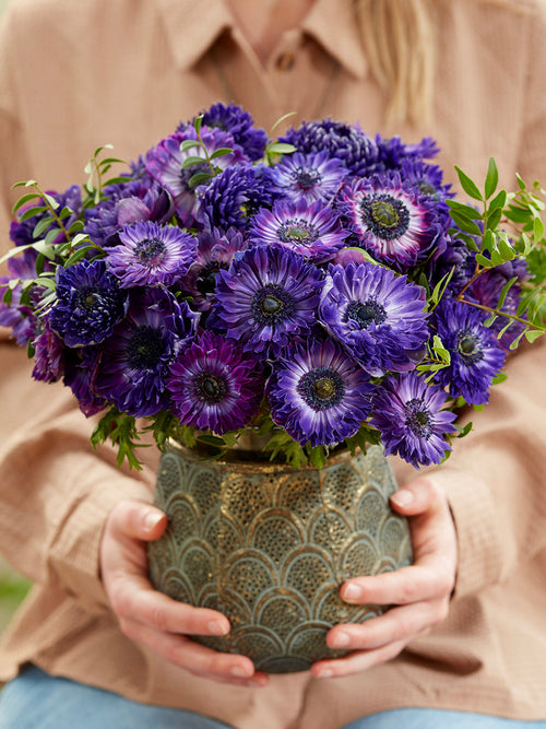 Anemone Fullstar Blau