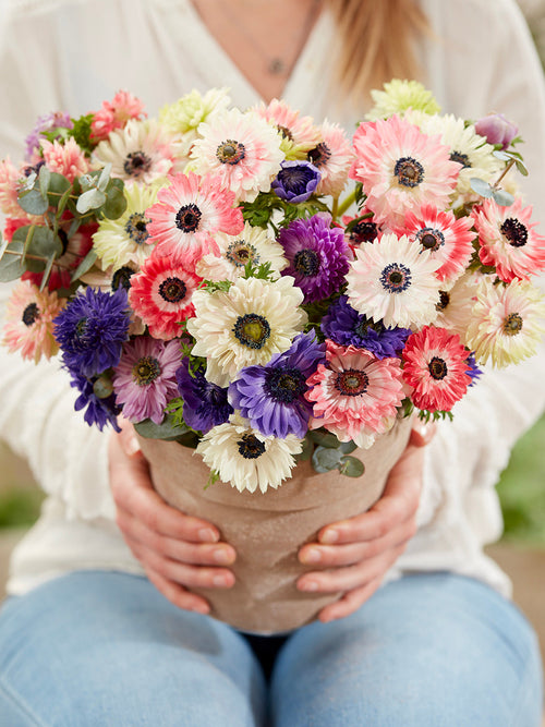 Anemone Fullstar Mischung bestellen