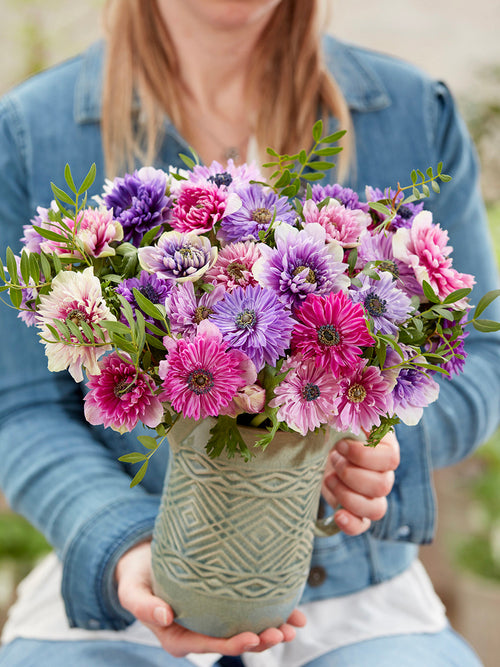 Anemone Fullstar Pastel Mischung