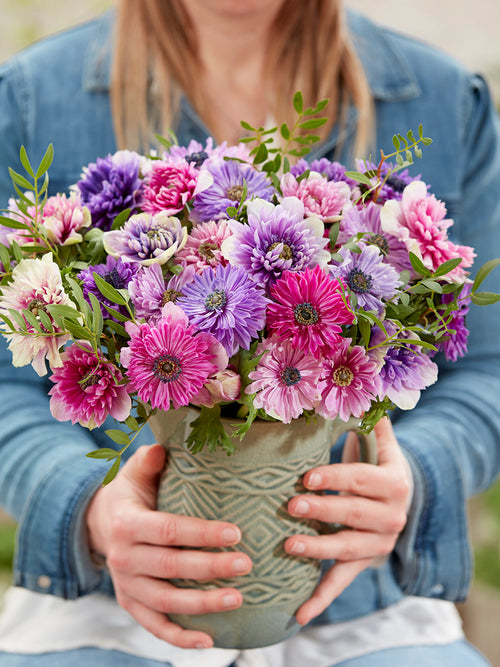 Kaufen Sie Anemone Fullstar Pastel Mischung, pflanzen und versenden Sie im Herbst