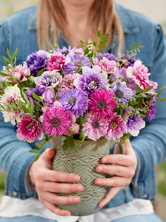 Kaufen Sie Anemone Fullstar Pastel Mischung, pflanzen und versenden Sie im Herbst