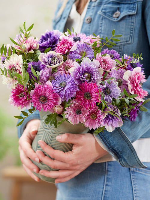 Kaufen Sie Anemone Fullstar Pastel Mischung für die Herbstlieferung
