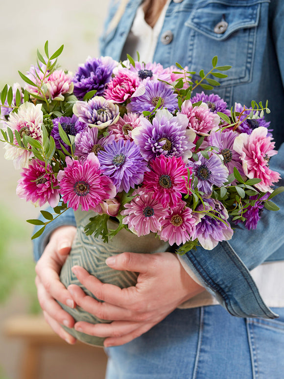 Kaufen Sie Anemone Fullstar Pastel Mischung für die Herbstlieferung