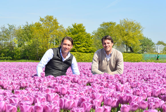 Lernen Sie Peter und Ben Rotteveel Kennen