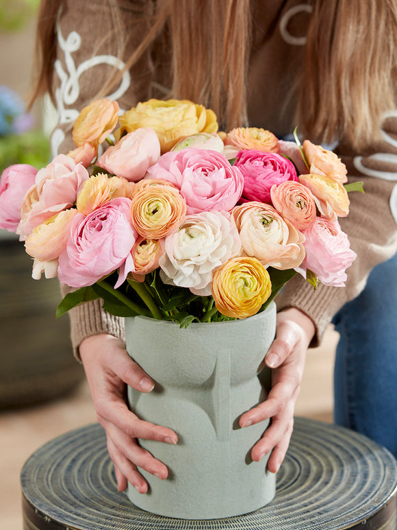 Kaufen Sie Ranunkeln Pauline Pastel