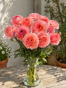 Ranunkel Romance™ Nohant