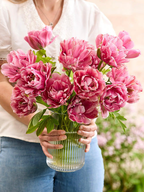 Tulpe Lotus Silk bestellen