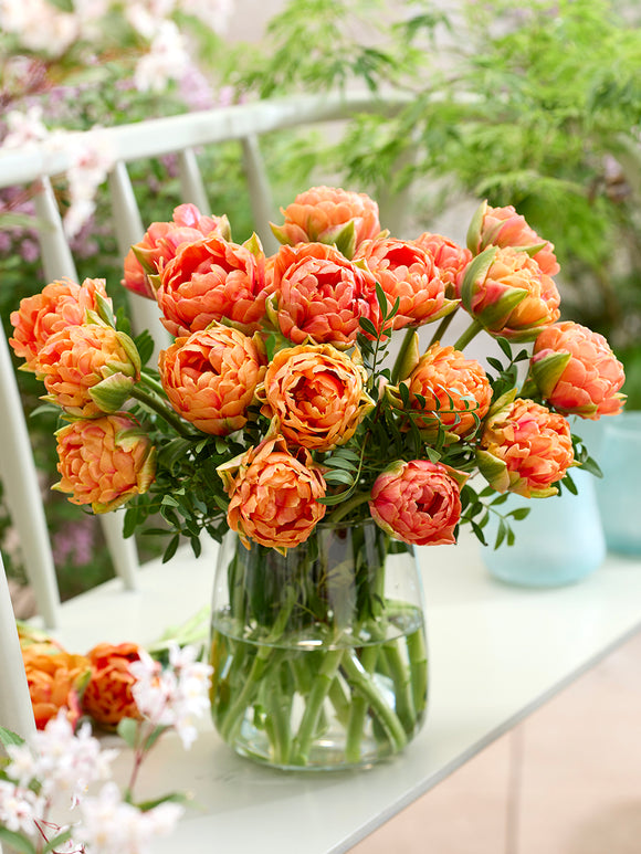 Tulpe Orange Flavour