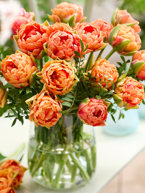 Tulpe Orange Flavour