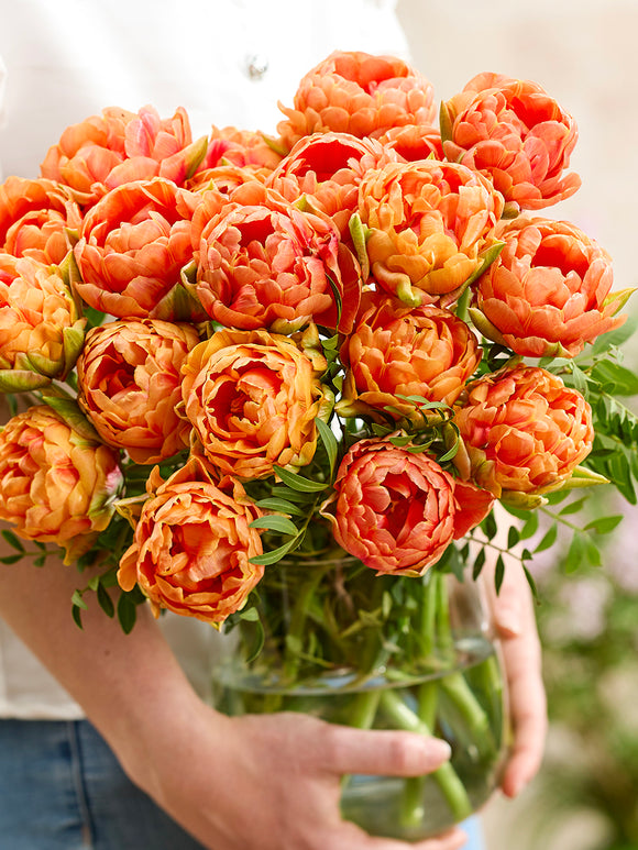 Tulpe Orange Flavour