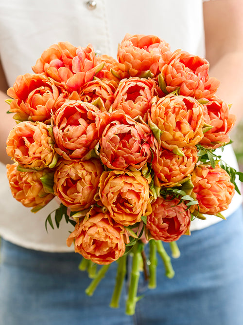 Tulpe Orange Flavour