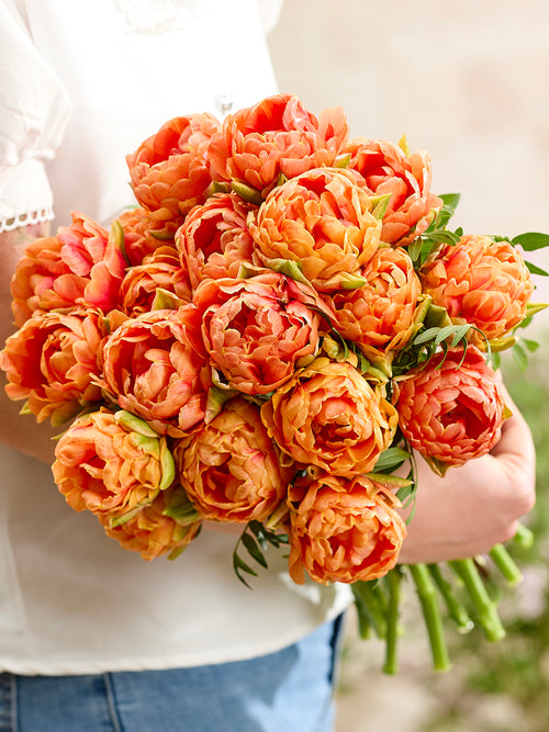 Tulpe Orange Flavour