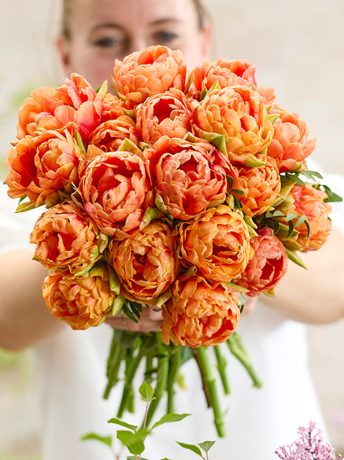 Tulpe Orange Flavour