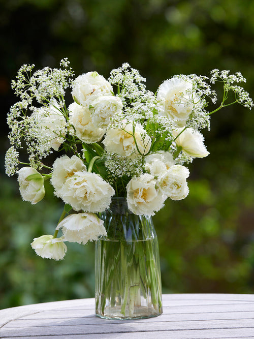 Tulpe Boot Camp