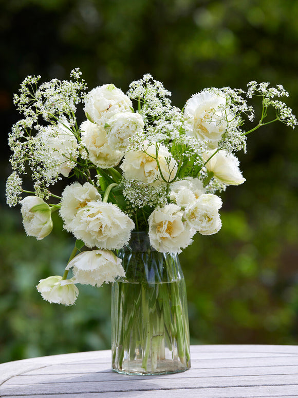 Tulpe Boot Camp